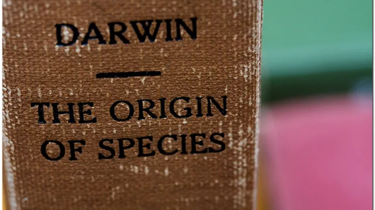 Obrazovanje bez evolucije: Turska najavila novi &scaron;kolski kurikulum bez Darwina