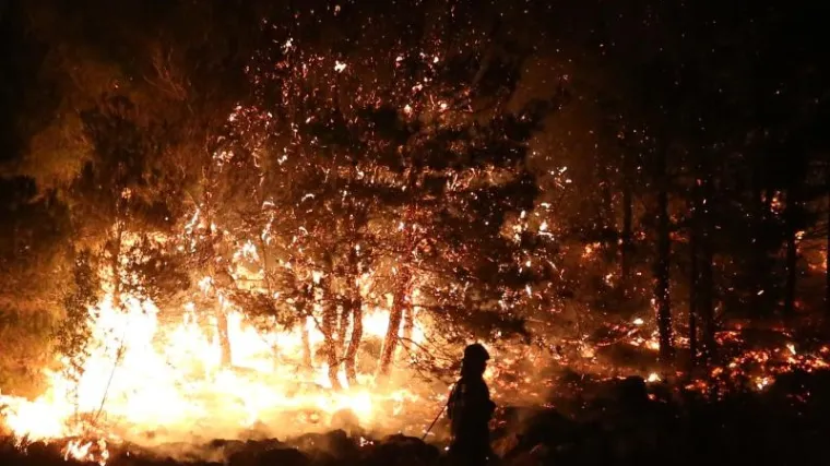 '&Scaron;umari ga obožavaju, vatrogasci preziru, a sad zbog njega imamo velike probleme'