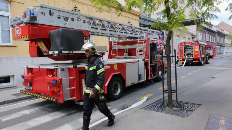 Zagrepčani zapalili vatru u stanu zbog komaraca, vatrogasci ostali u šoku: 'Muhomlat je samo 4 kune'