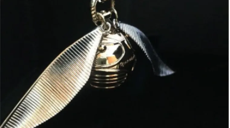 Nova funkcija zlatne zvrčke: Preslatka kutijica za zaručnički prsten nadahnuta Harryjem Potterom