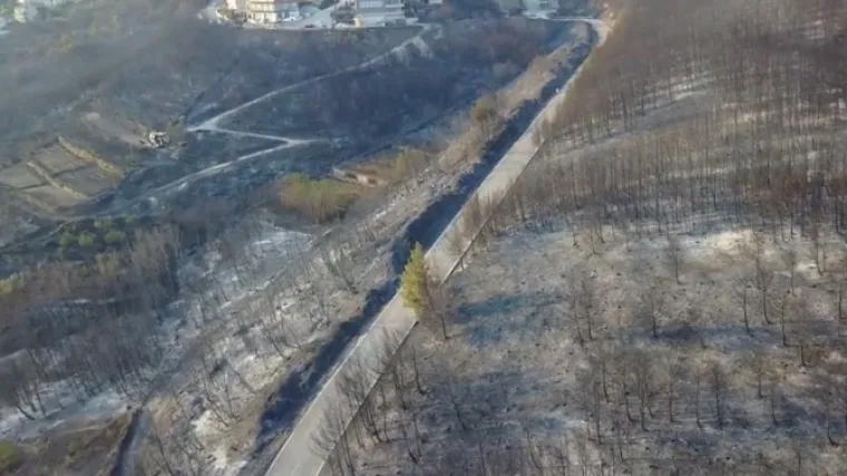 Nakon stravičnog požara, mnogi se pitaju - hoće li se Hrvatskoj dogoditi 'grčki sindrom'?