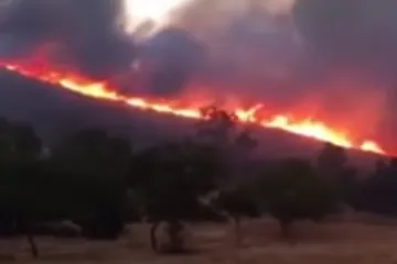 Stravičan požar poharao tisuće hektara zemljišta, vatra prijeti i Nacionalnom parku Yosemite