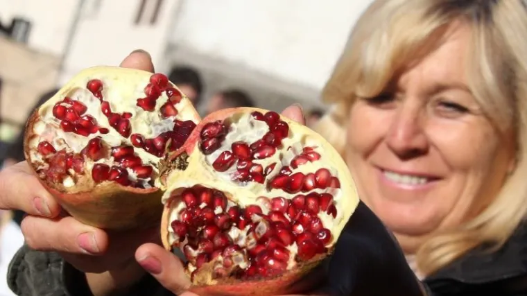 Uzgoj &scaron;ipka - sve &scaron;to trebate znati o uzgoju &scaron;ipka