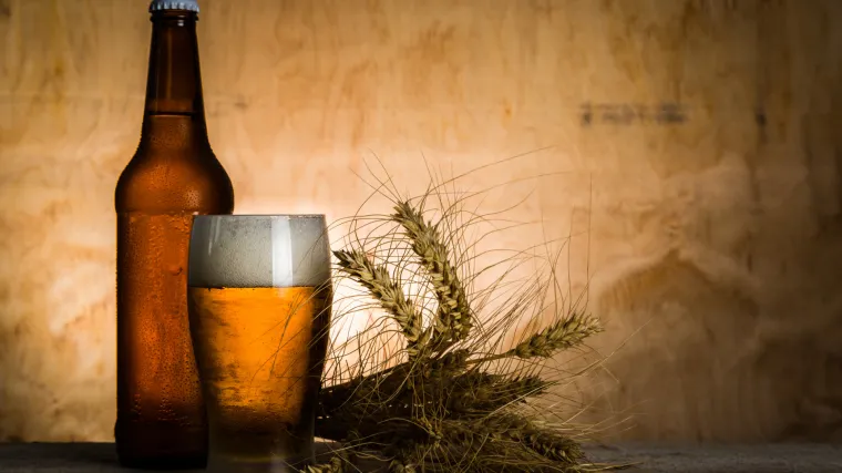 Uzgoj hmelja - sve &scaron;to trebate znati