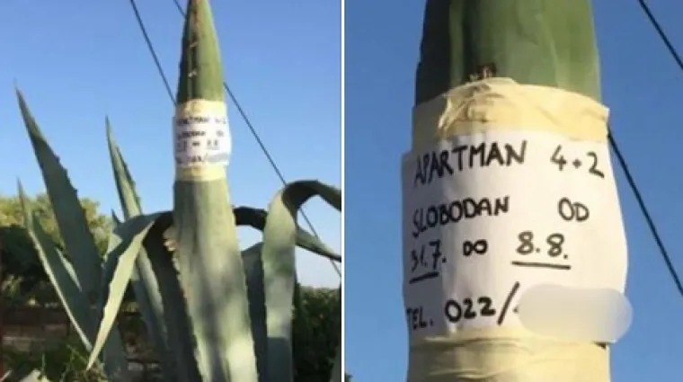 'Marketin&scaron;ki genij, nema &scaron;ta': kako 'brutalno iznajmiti apartman' zna ovaj ogla&scaron;ivač!