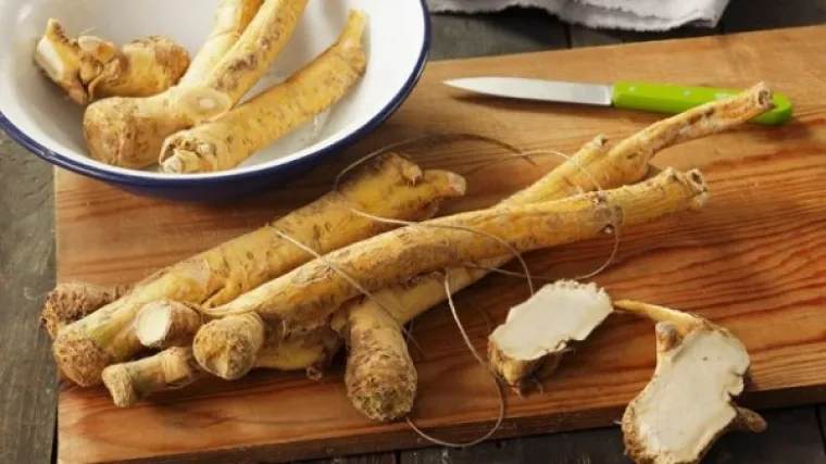 Sve što morate znati o uzgoju hrena