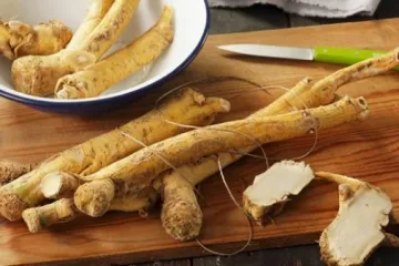 Sve što morate znati o uzgoju hrena