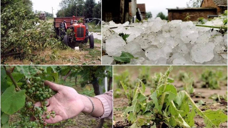'Led mi je ubio životinje, spašavali smo živu glavu'