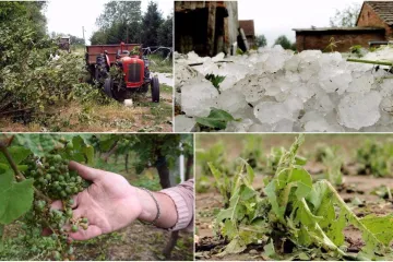 'Led mi je ubio životinje, spašavali smo živu glavu'