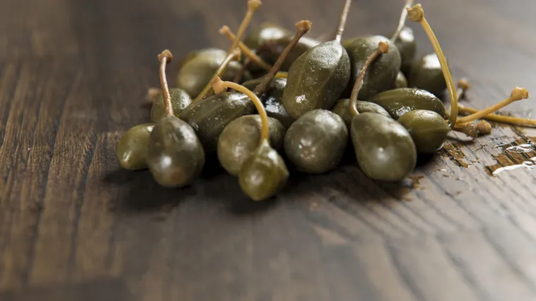 Kapari biljka - biljka antičkih vremena