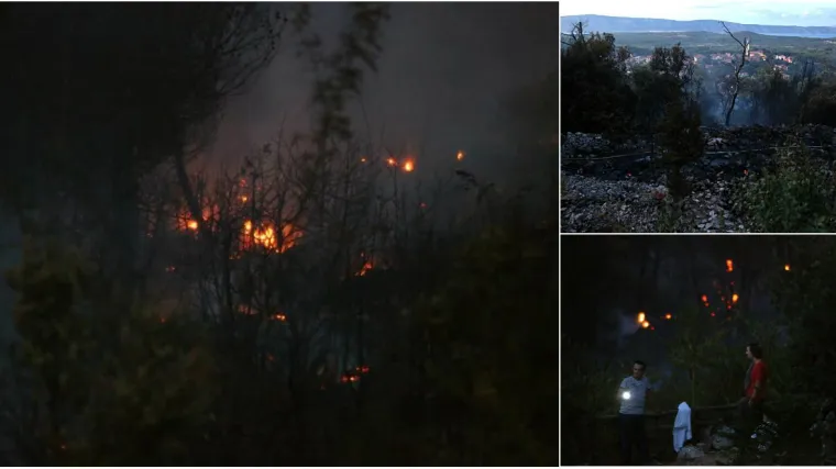 Gorila gusta borova &scaron;uma, vatrogasci će dežurati cijelu noć