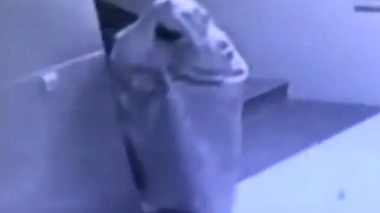 Lopov se preru&scaron;io u duha da izbjegne sigurnosne kamere