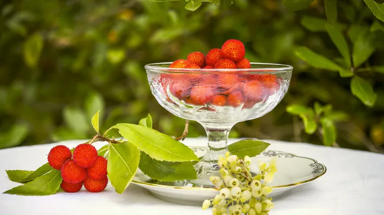 Maginja biljka - biljka bogata vitaminom C