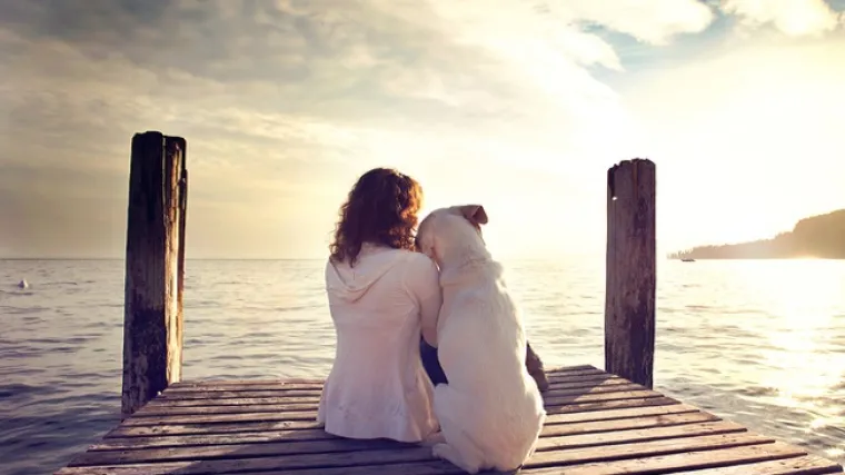 Već neko vrijeme želite psa za kućnog ljubimca? To je super, ali najprije si postavite ovih važnih 8 pitanja