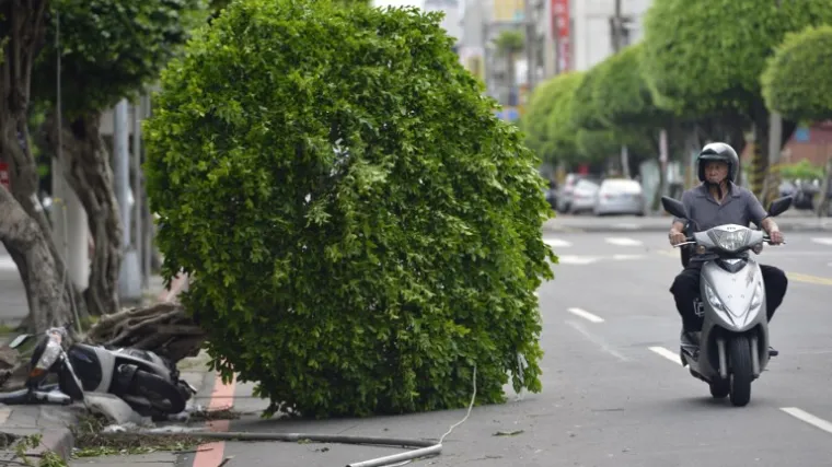 Ozlijeđeno 80 ljudi, pola milijuna domova ostalo bez struje