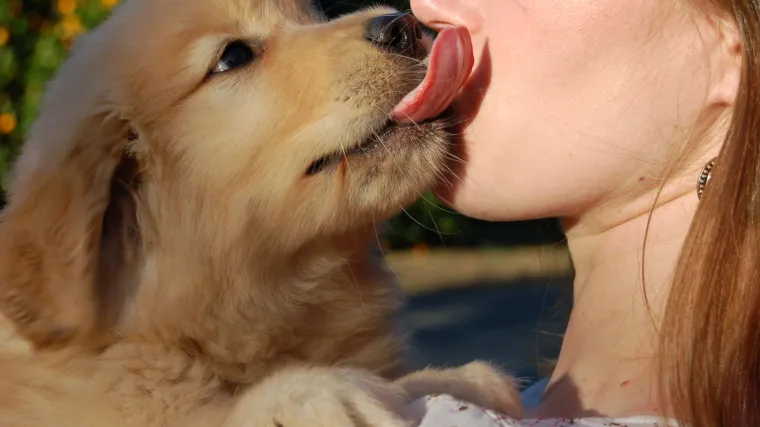 Naizgled bezazleno, a smrtonosno: ne dajte psu da vas liže po licu