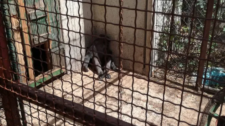 Životinje su spa&scaron;ene: inspekcija ipak zatvorila improvizirani zoolo&scaron;ki vrt u Zatonu Obrovačkom!