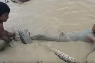Djeca lovila puževe, a onda se nastavila igrati s čudovištem...