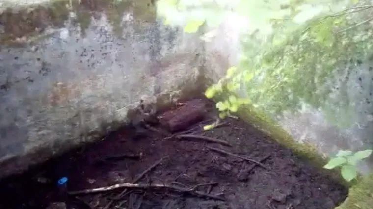 Pogledajte snimku spa&scaron;avanja malenog medvjedića iz duboke cisterne na Velebitu