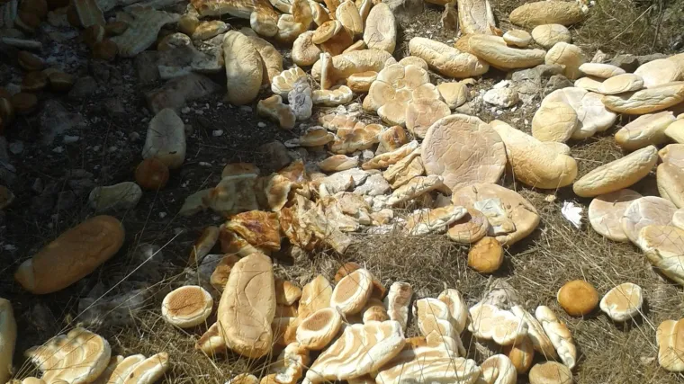 [FOTO] 'Gdje je nestala ljudskost? Ljudi gladuju! Gomila pekarskih proizvoda bačena je umjesto da se podijeli siroma&scaron;nima!'