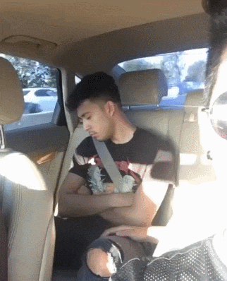 Ne diraj lava dok spava