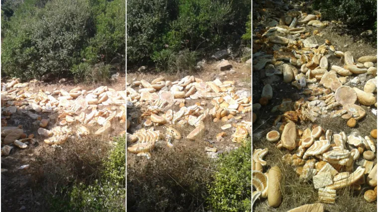 Čitatelj Net.hr-a s Vira zgrožen onim što je zatekao u šumi