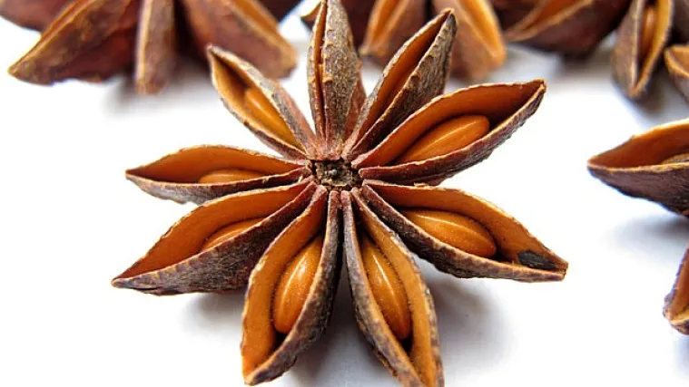 Anis uzgoj - saznajte sve o uzgoju anisa