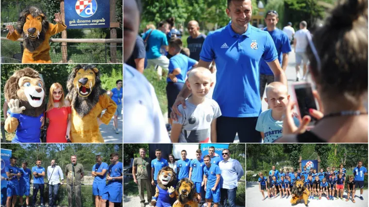 Modri najavili derbi u Zoo-u! 'Ne bojimo se Hajduka'