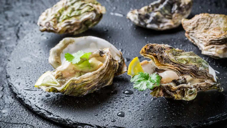 Delicije u bilo koje doba dana i noći: svježe kamenice prodaju se na automatima