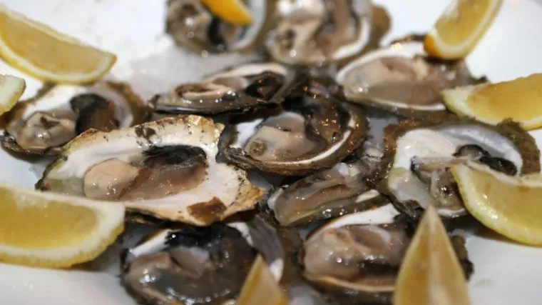 Automati s čokoladom više nisu 'in': zamijenili ih automati sa svježim kamenicama, a turisti oduševljeni idejom