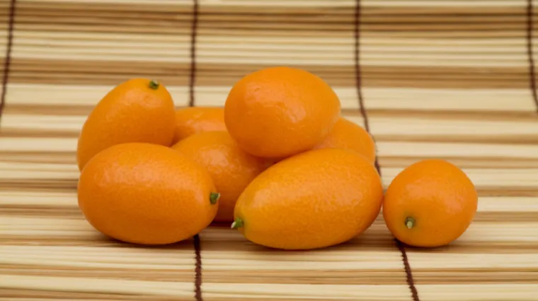 Kumkvat uzgoj - savjeti kako uzgajati kumkvat