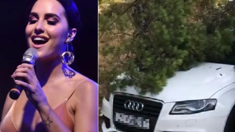 Drvo palo na njezin automobil, &scaron;u&scaron;ka se da ga je netko prepilio