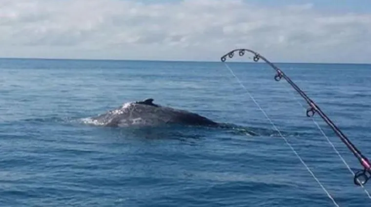 'U trenu su se svi na&scaron;li na podu, ovo je zaista vrlo rijedak, čudan incident'