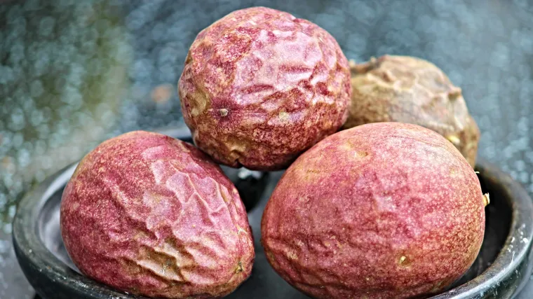 Marakuja uzgoj - kako ju uzgajati u Hrvatskoj?