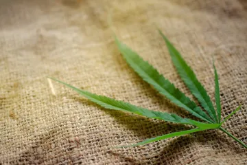 Nova studija: marihuana utječe na razvoj bolesti srca i u konačnici uzrokuje smrt?