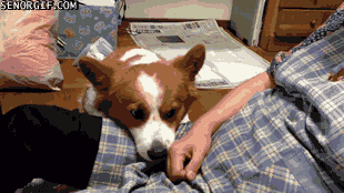 Naučite razumjeti tajne znakove koje vam &scaron;alje, ovo je 16 najče&scaron;ćih