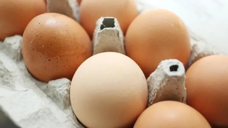 Inspekcija opasnu bakteriju prona&scaron;la u jajima domaćeg proizvođača