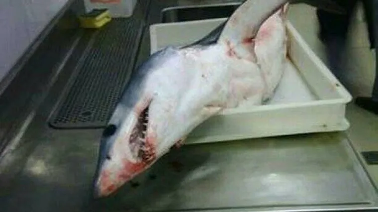 Fotografije izazvale lavinu komentara