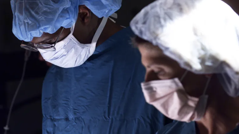 Znanstvenici sve bliže presađivanju životinjskih organa ljudima