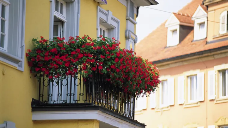 Četverogodi&scaron;njak zaključao mamu i prijateljicu na balkon, vatrogasci morali razvaliti vrata