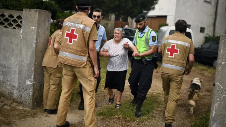 Sru&scaron;ilo se stablo kod crkve i ubilo najmanje 11 vjernika koji su slavili Veliku Gospu