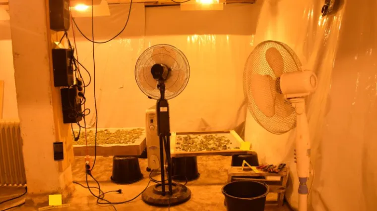 Umirovljenik ustupio podrum dilerima kako bi uzgajali marihuanu: obećali mu 30.000 kuna za uređenje kupaonice