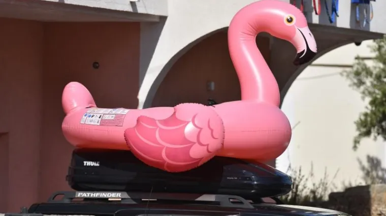 Dali joj rozu ptičurinu na napuhavanje, jedva ju je ukrotila