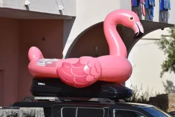 Dali joj rozu ptičurinu na napuhavanje, jedva ju je ukrotila