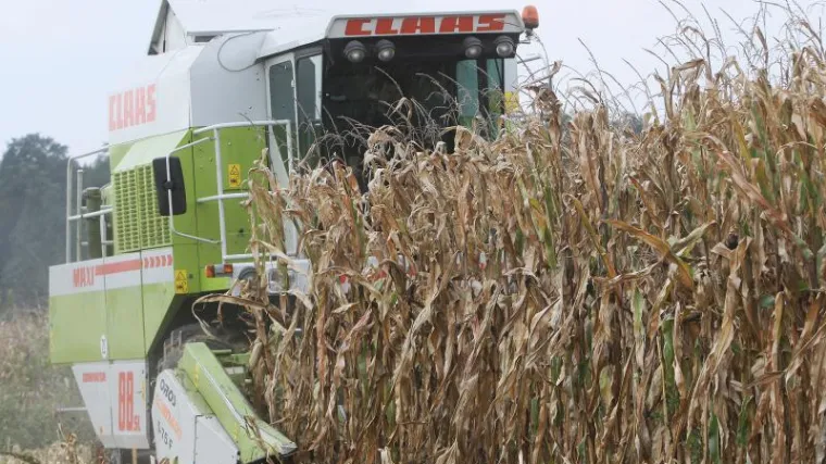 Su&scaron;a u okolici Zagreba uni&scaron;tila do 50 posto uroda: poljoprivrednici traže pomoć države