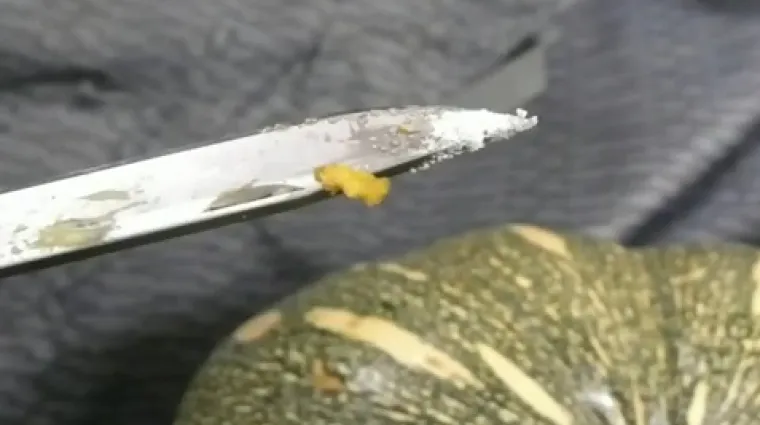 Poznati kuhar u Zadru pao zbog tajnog sastojka: uz specijalitete 'posluživao' i kokain