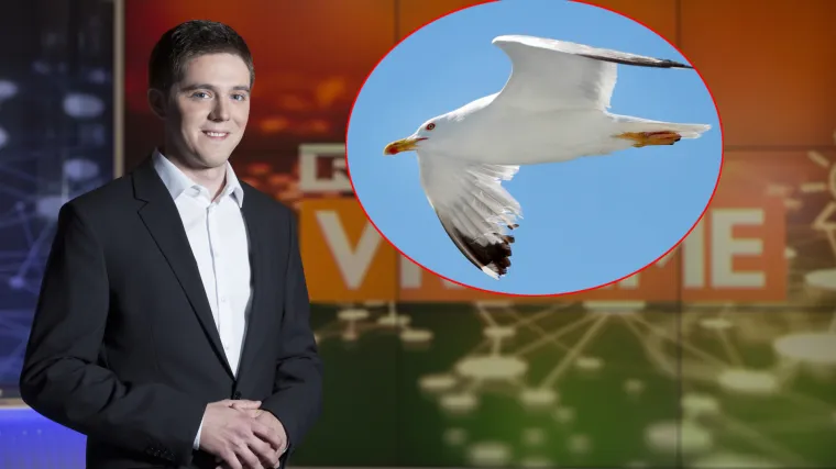 'Ni&scaron;ta od seksa Zorane': čini se kako na&scaron; meteorolog Nikola Vikić-Topić preuzima glavnu riječ u 'prognozama za galebove'