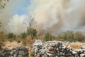 Ponovno gori kod Kistanja: pred vatrenom stihijom bježi i 350 koza (1)