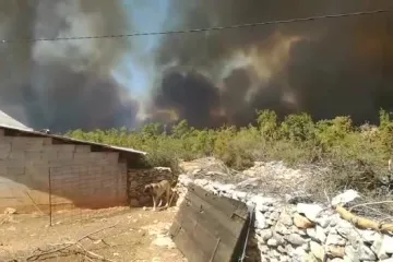 Ponovno gori kod Kistanja: pred vatrenom stihijom bježi i 350 koza