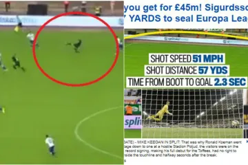 Precizni Englezi izračunali sve detalje Sigurdssonovog remek-djela